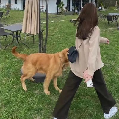 火龙行动