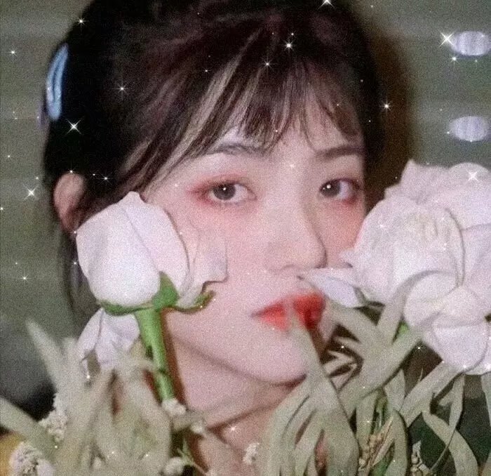 完美犯罪